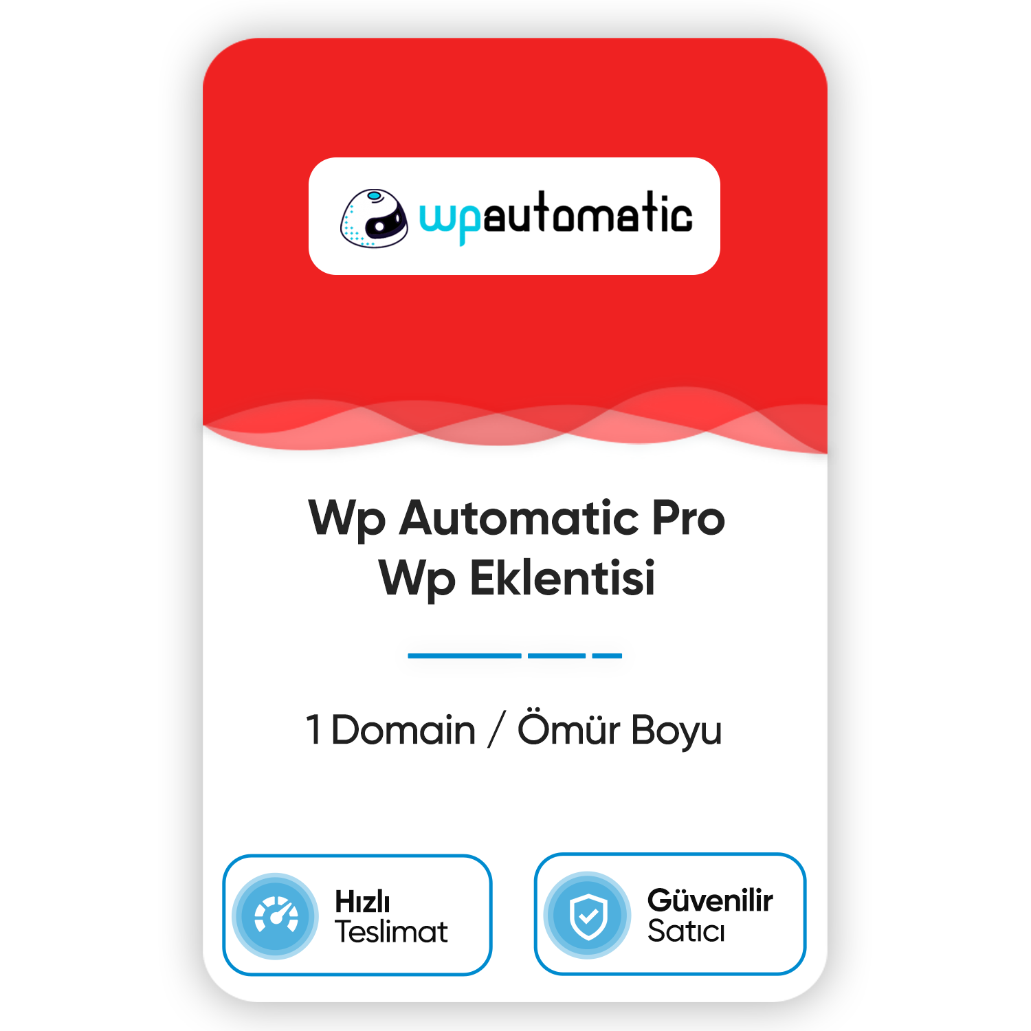 wp-automatic-pro-wp-eklentisi-1-domain-omur-boyu.png